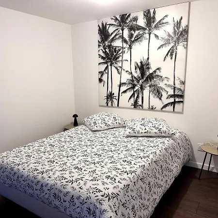 Le Contraste شقة *