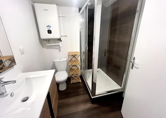 Апартаменты Le Contraste Клермон-Ферран